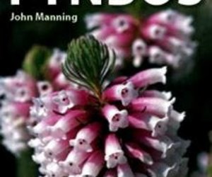 Field guide to Fynbos by John Manning